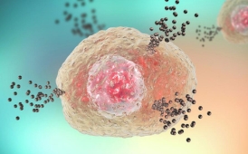Cell Biology