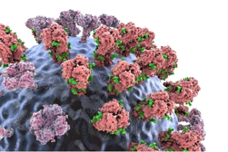 Cell Biology