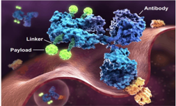 Cell Biology