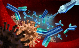 Cell Biology