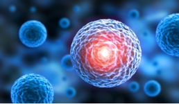 Cell Biology