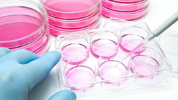 Cell Biology