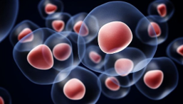 Cell Biology
