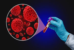 Cell Biology