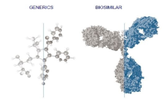 Cell Biology