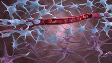 Cell Biology