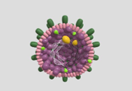 Cell Biology