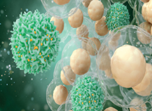 Cell Biology