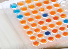 Cell Biology