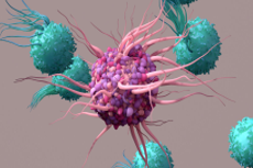 Cell Biology