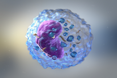 Cell Biology
