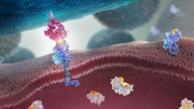 Cell Biology