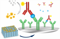 Cell Biology