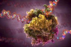 Cell Biology