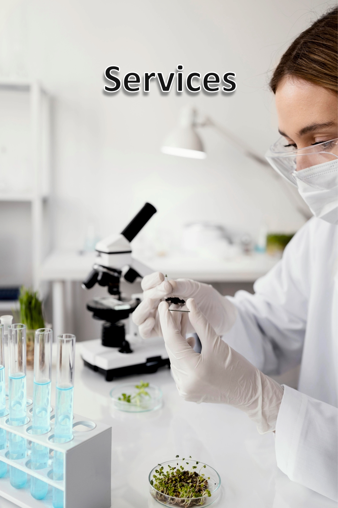 Services