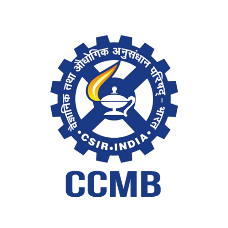 Logo 7
