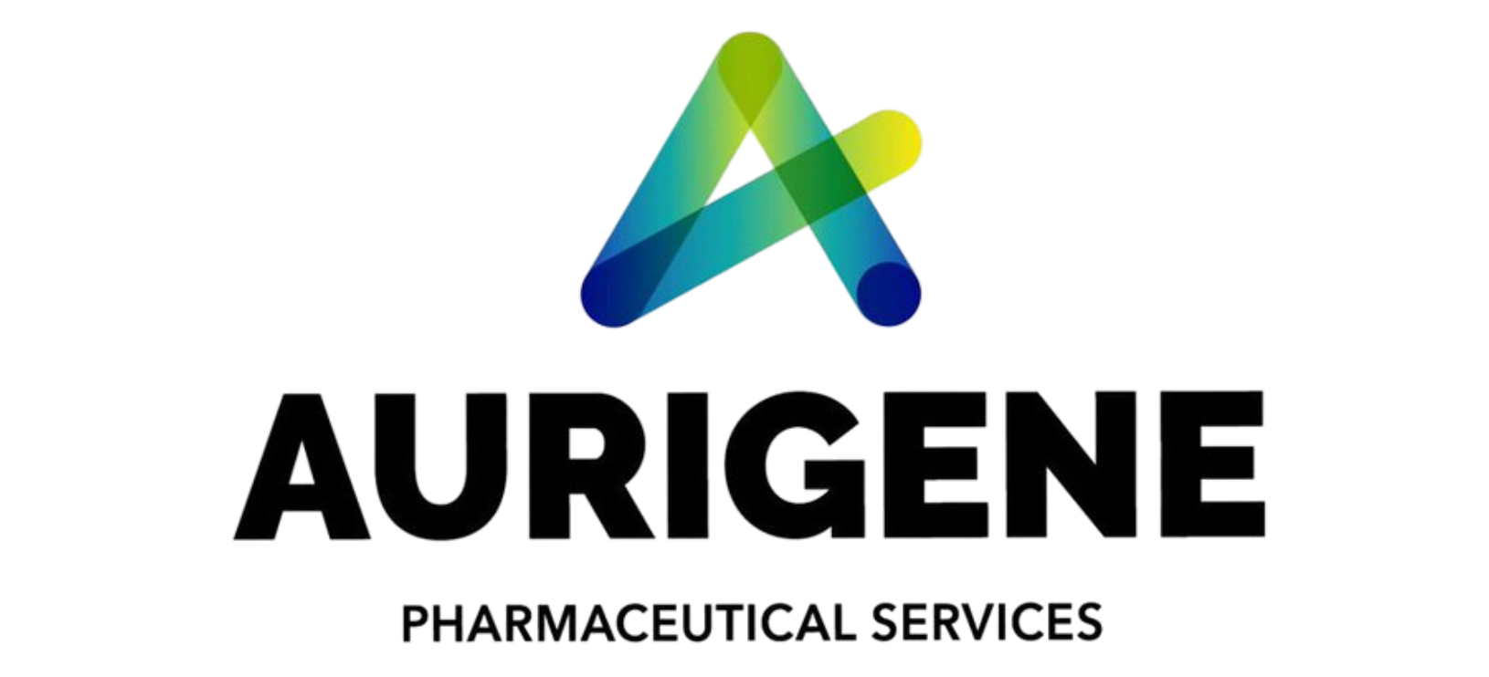 Logo 2