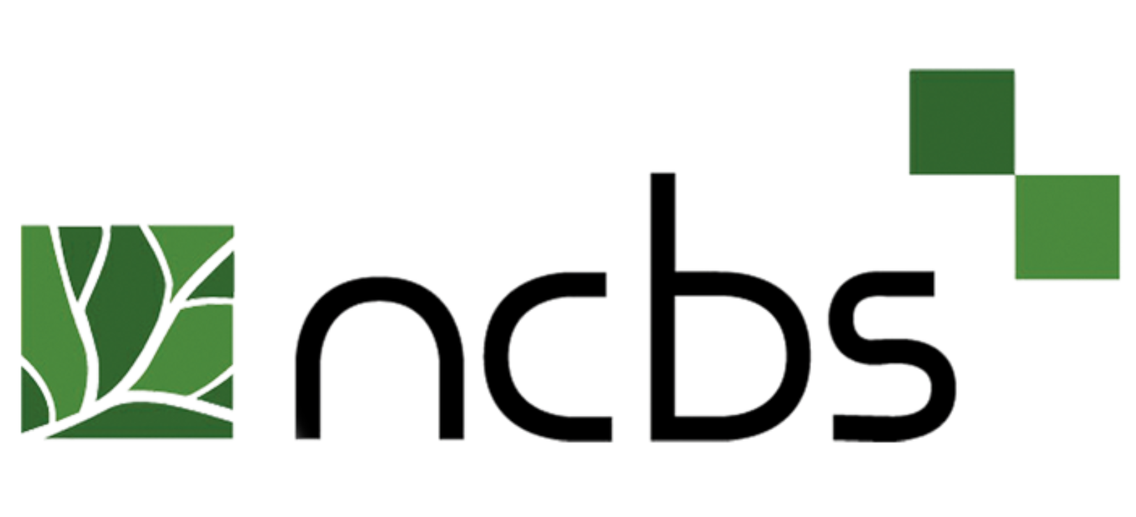 Logo 21