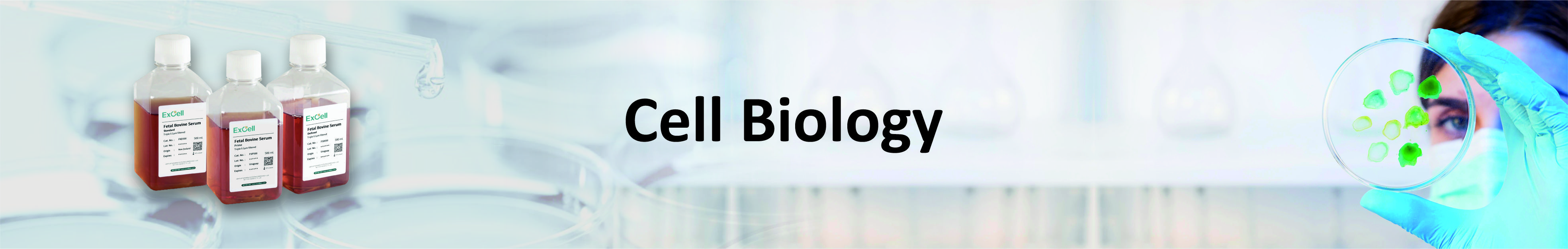 Cell Bioilogy Allianz Bioinnovation